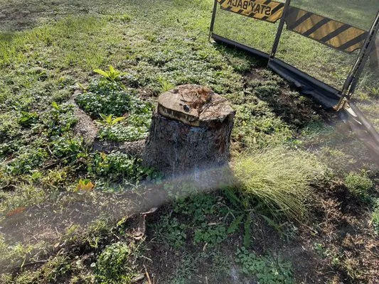 Longs Stump Grinding Services