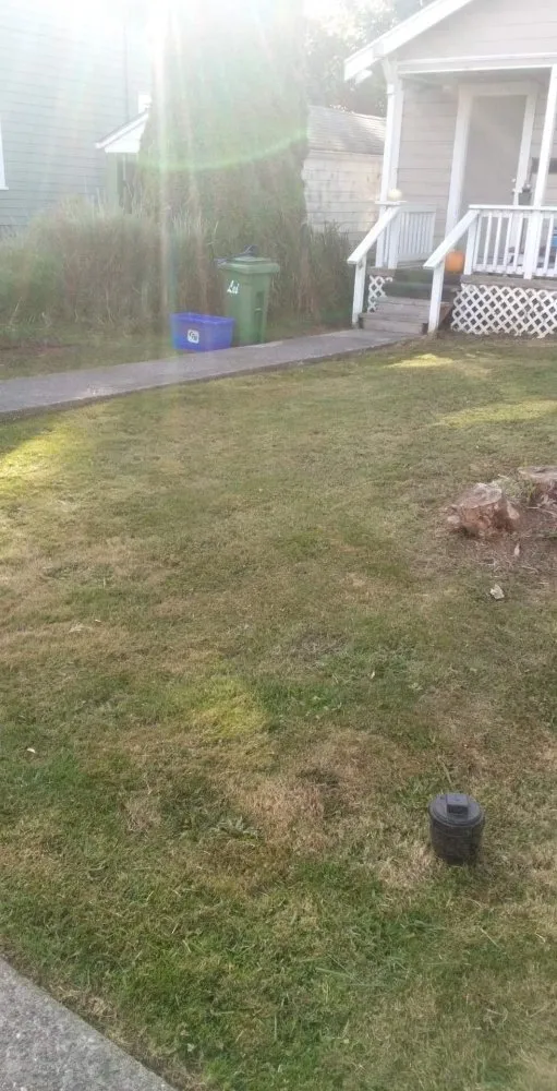 Reliable outdoor landscaping in Coos Bay, OR - Longs Yard Maintenance