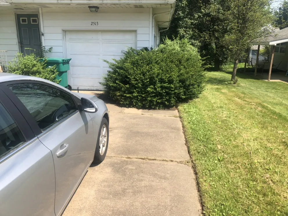 Trusted yard cleanup service in Cleveland, OH - Longshoreman Lawn Care Service