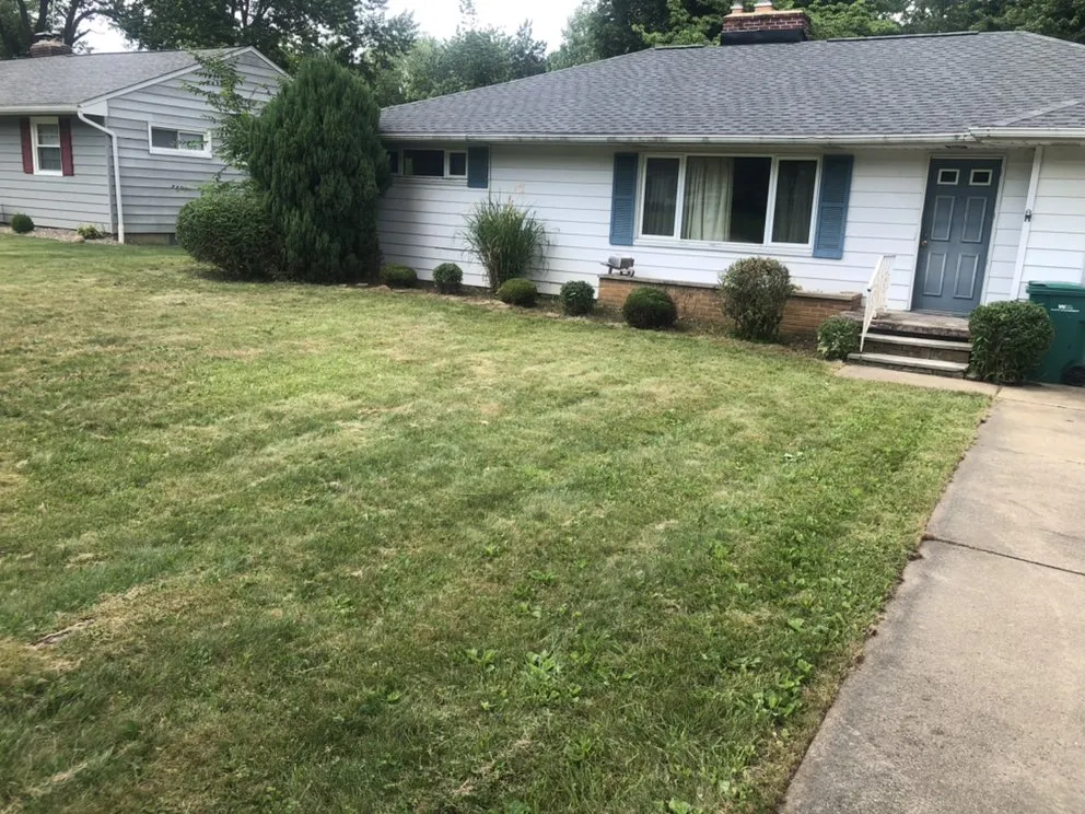 Custom lawn mowing service in Cleveland, OH - Longshoreman Lawn Care Service