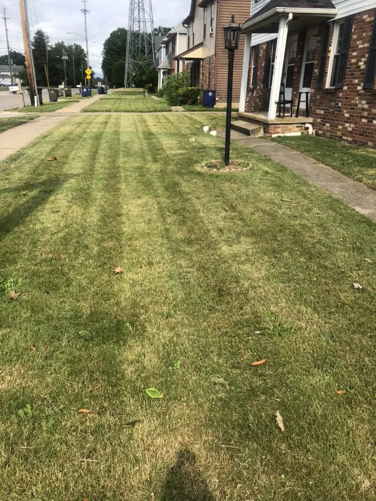 Local landscaping services with custom design in Cleveland, OH by Longshoreman Lawn Care Service