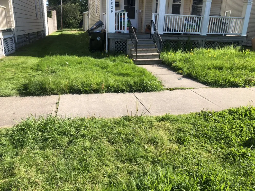 Professional residential landscaping in Cleveland, OH - Longshoreman Lawn Care Service