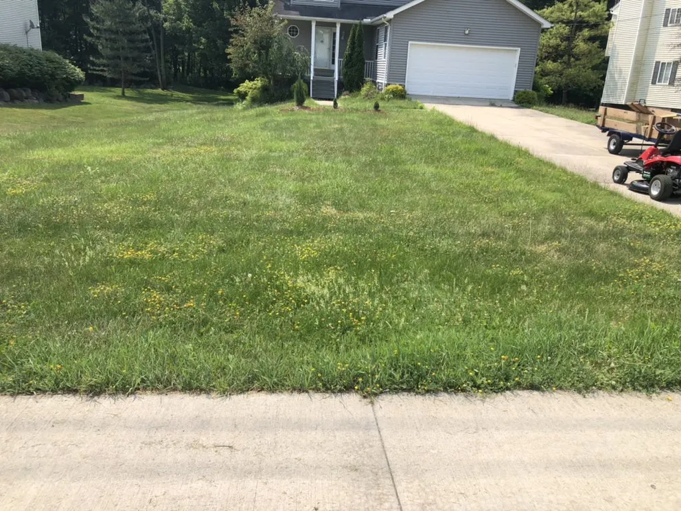 Custom landscape design for year-round maintenance across Cleveland, OH - Longshoreman Lawn Care Service