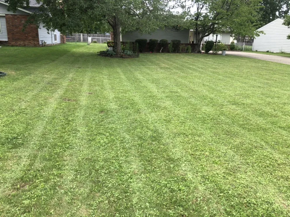 Professional lawn mowing service in Cleveland, OH by Longshoreman Lawn Care Service