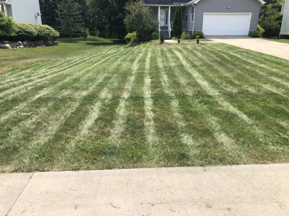 Local yard cleanup service for residential properties in Cleveland, OH by Longshoreman Lawn Care Service