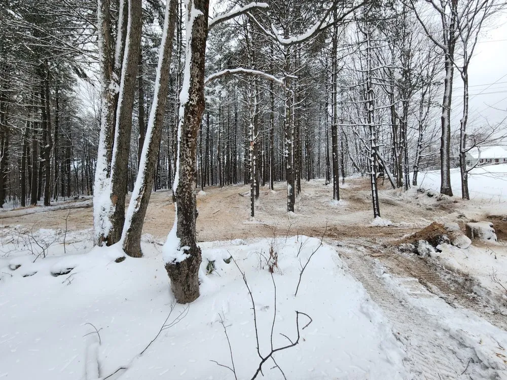 Professional landscape design experts serving Newbury, VT - Longto Forestry Mulching