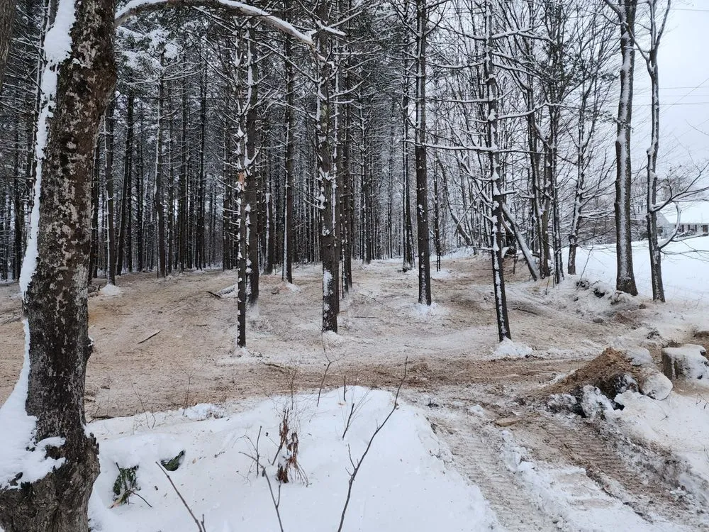 Custom yard maintenance for outdoor upgrades in Newbury, VT by Longto Forestry Mulching