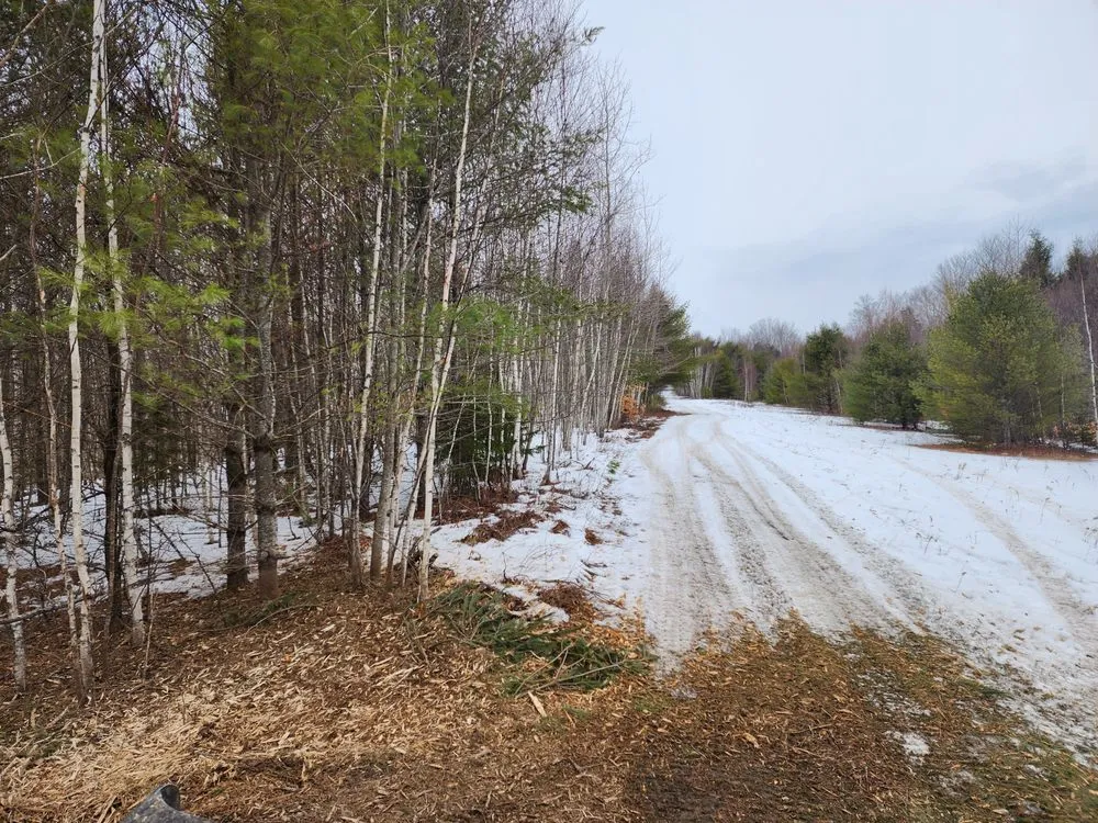 Affordable outdoor landscaping near you in Newbury, VT by Longto Forestry Mulching