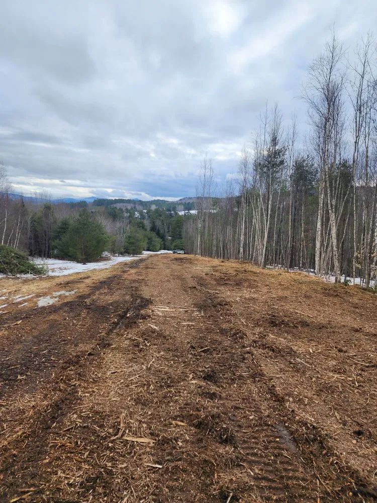 Expert lawn mowing service experts serving Newbury, VT - Longto Forestry Mulching