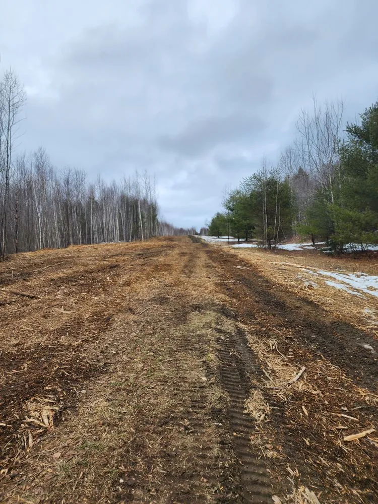 Trusted landscaping services with custom design across Newbury, VT - Longto Forestry Mulching