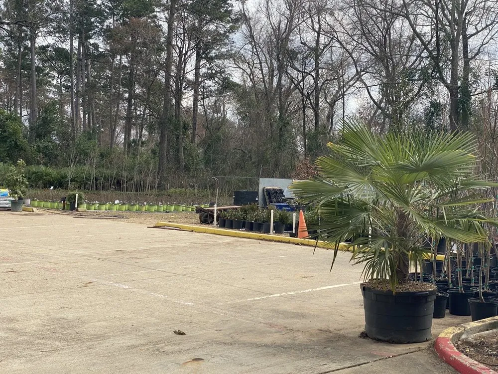 Top-rated landscaping services for year-round maintenance in Longview, TX by Longview Garden