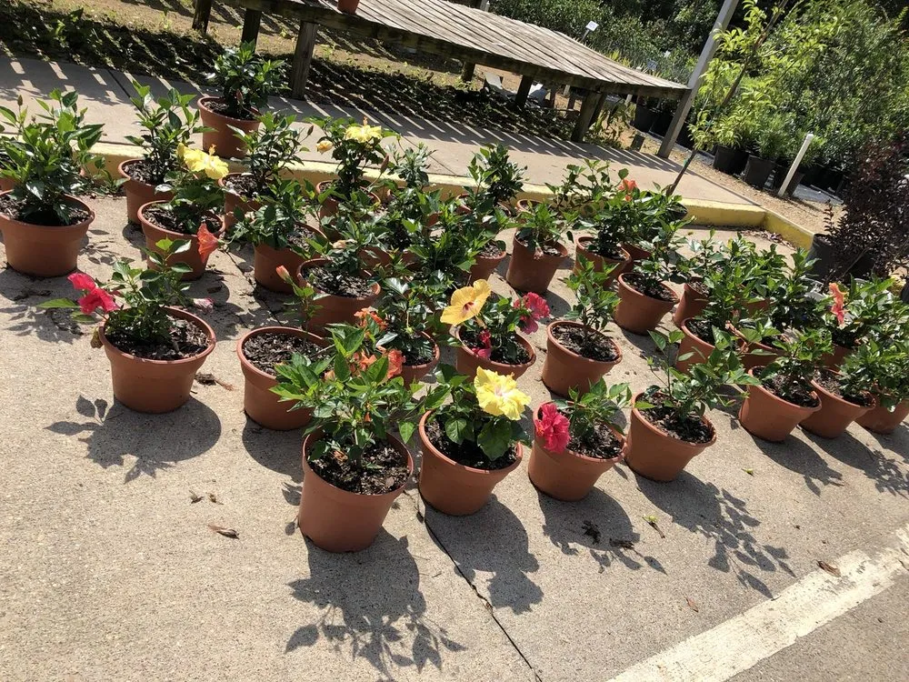 Affordable yard maintenance in Longview, TX by Longview Garden