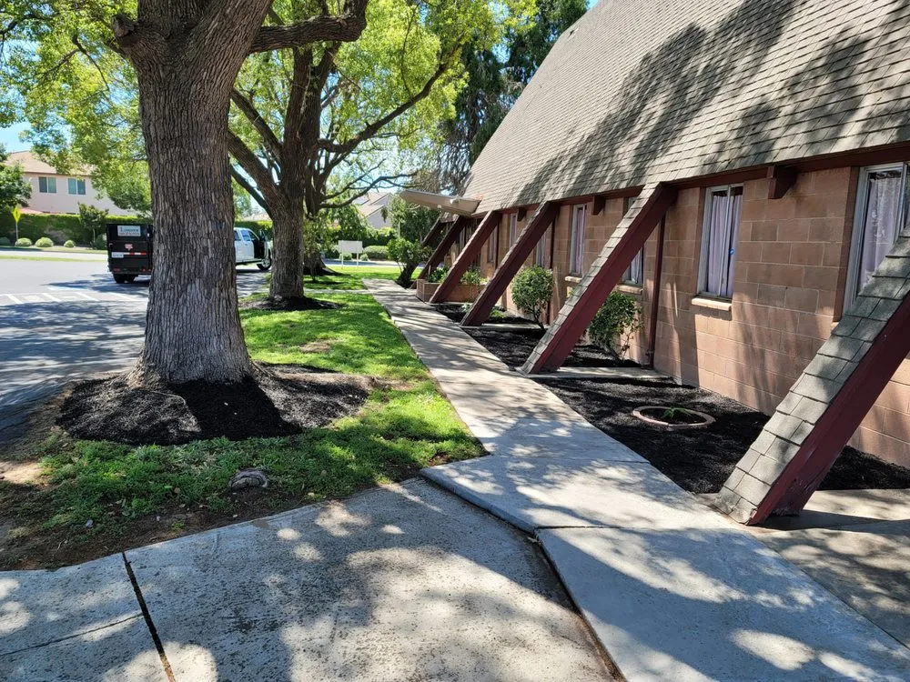 Trusted yard cleanup service in Lathrop, CA by Longview Landscape