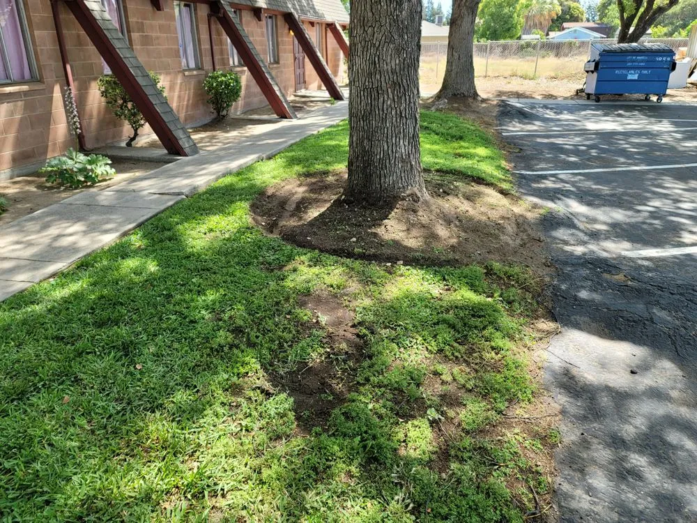 Reliable yard maintenance experts serving Lathrop, CA - Longview Landscape