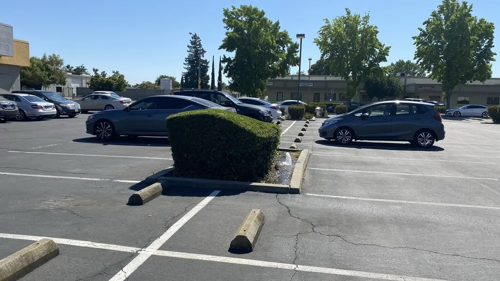 Local garden landscaping experts serving Lathrop, CA - Longview Landscape