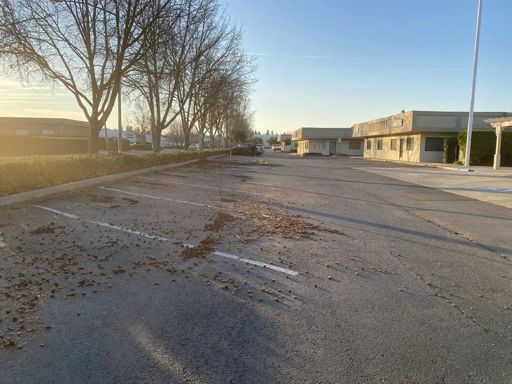 Professional landscape installation for homes in Lathrop, CA by Longview Landscape