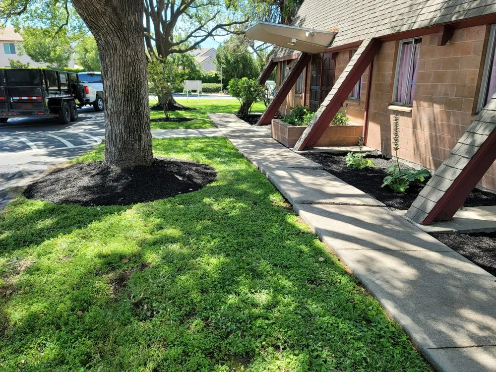 Local outdoor landscaping in Lathrop, CA - Longview Landscape