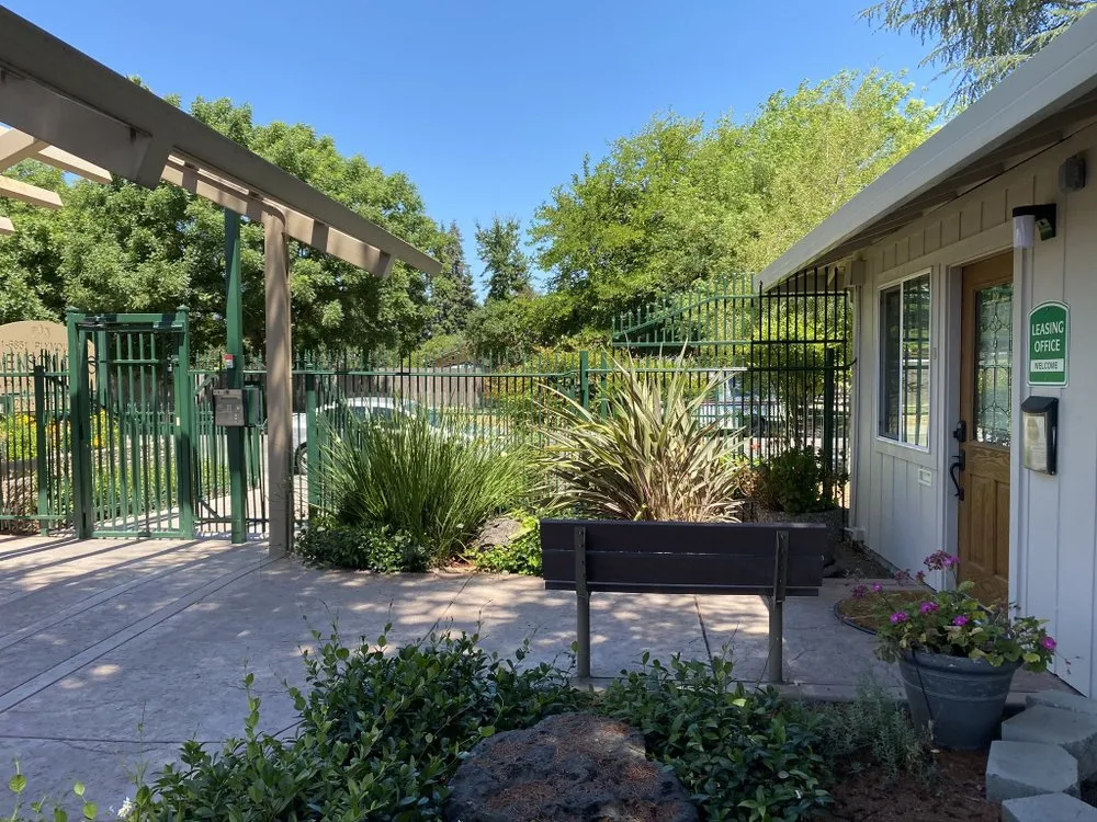 Custom yard cleanup service in Lathrop, CA by Longview Landscape