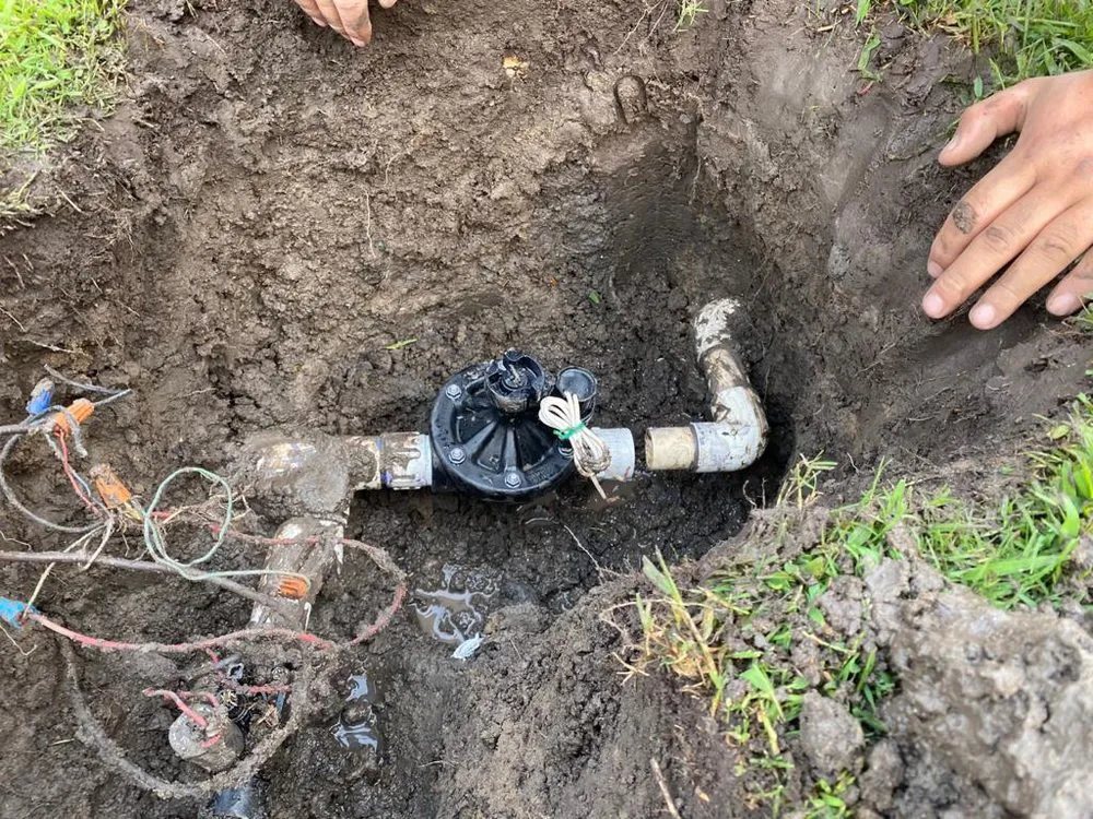 Local outdoor landscaping in Lathrop, CA by Longview Landscape