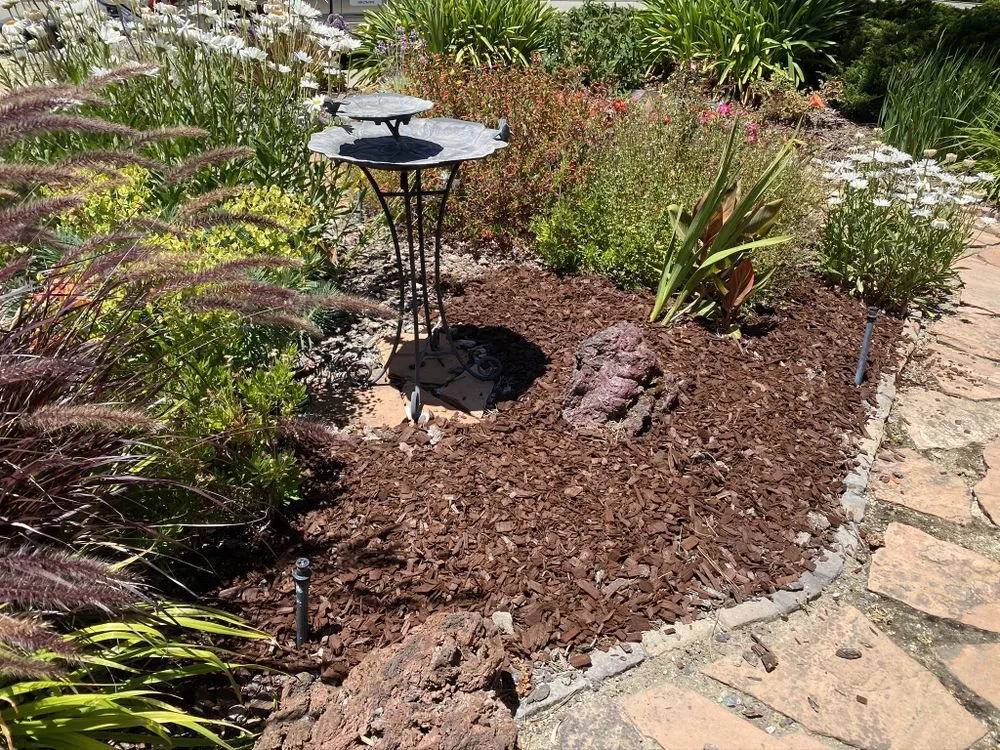 Reliable yard cleanup service for residential properties in Lathrop, CA by Longview Landscape