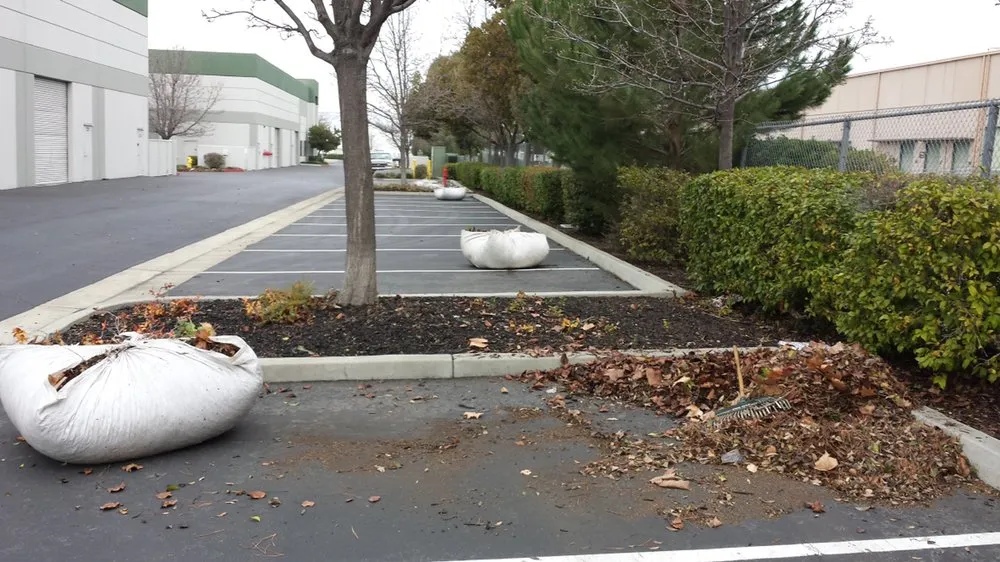 Custom yard cleanup service in Lathrop, CA by Longview Landscape