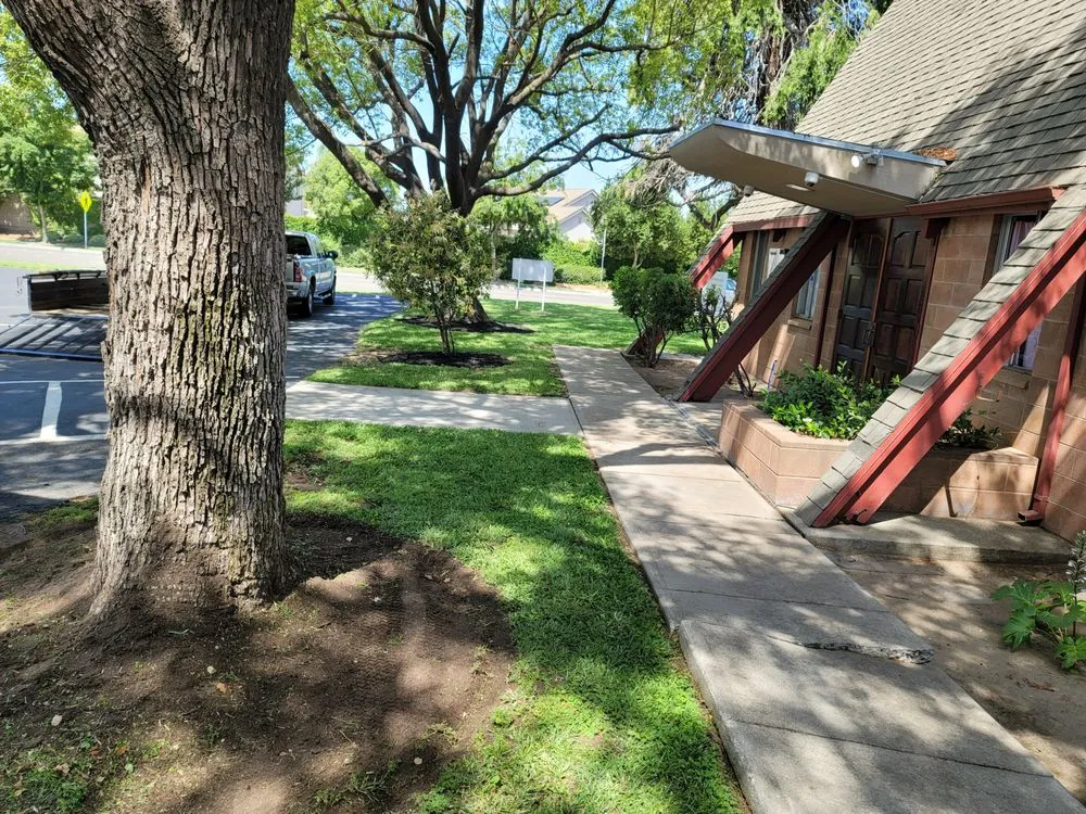 Local garden landscaping for outdoor upgrades in Lathrop, CA by Longview Landscape