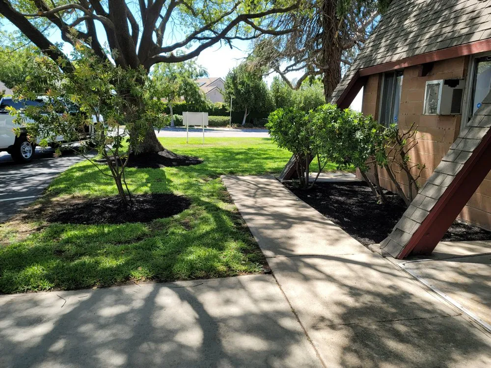Expert outdoor landscaping for outdoor upgrades in Lathrop, CA by Longview Landscape