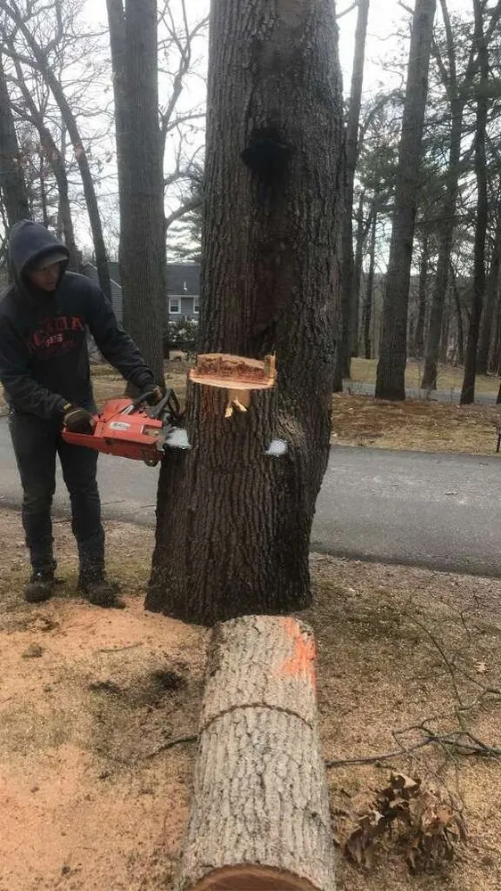 Trusted landscape installation near you across North Attleborough, MA - Longview Landscape