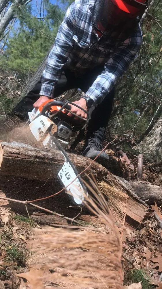 Professional lawn care service in North Attleborough, MA - Longview Landscape