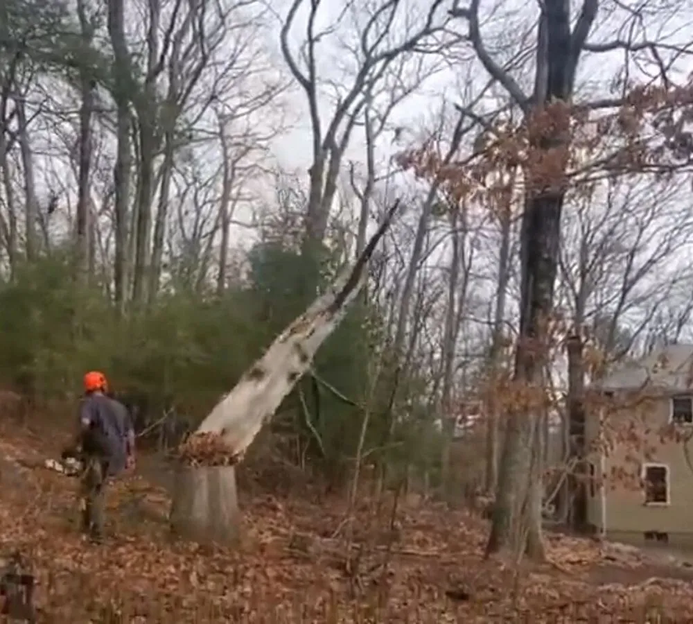 Custom landscaping services in North Attleborough, MA by Longview Landscape