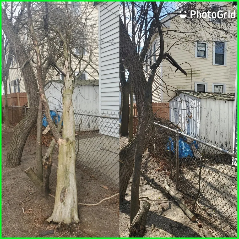 Local yard maintenance for residential properties across North Attleborough, MA - Longview Landscape