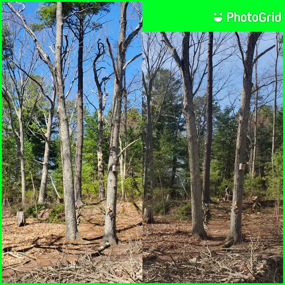 Custom garden landscaping in North Attleborough, MA by Longview Landscape