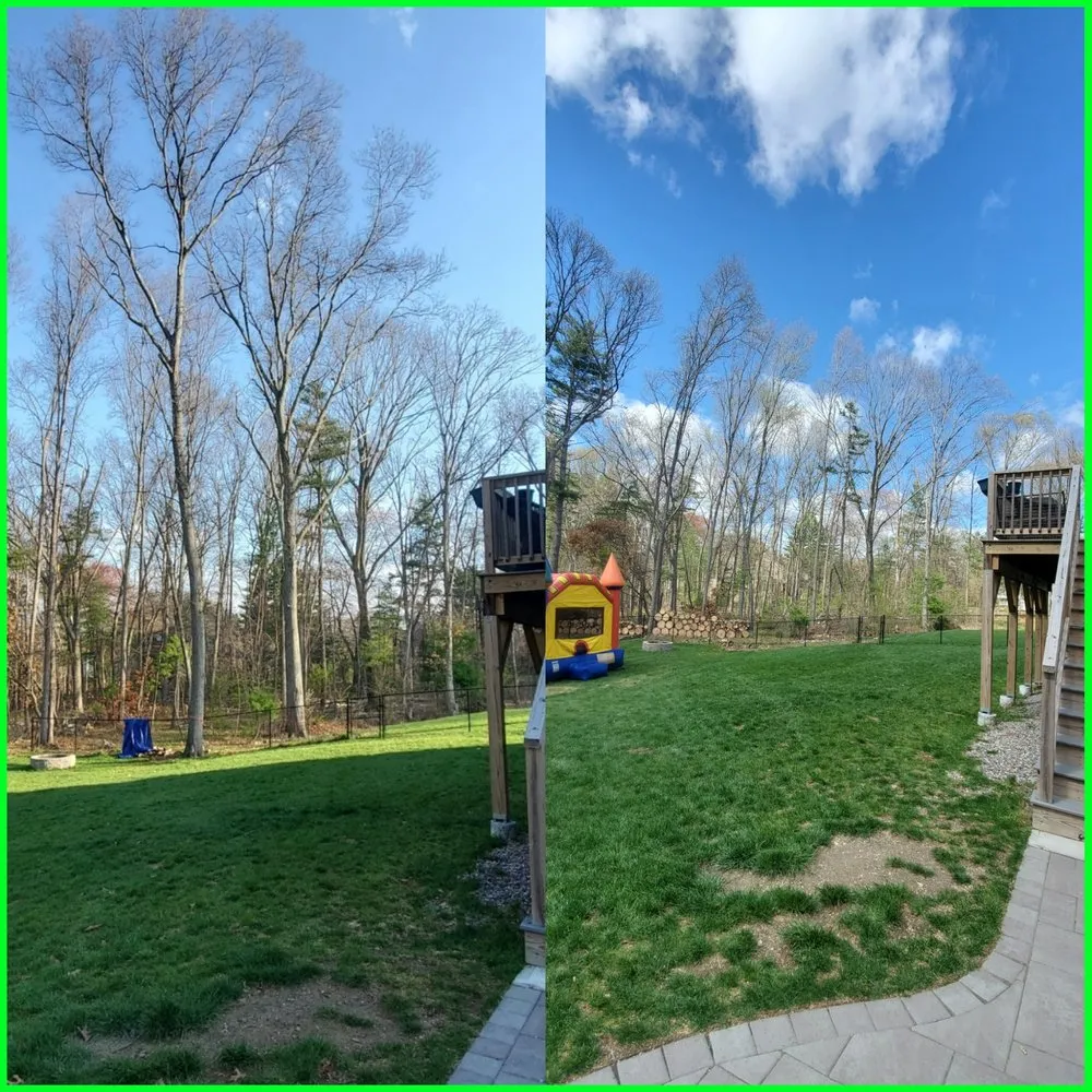 Affordable garden landscaping in North Attleborough, MA - Longview Landscape