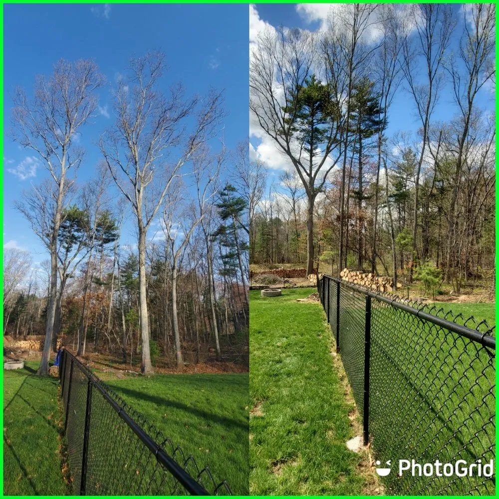 Reliable lawn mowing service for year-round maintenance across North Attleborough, MA - Longview Landscape