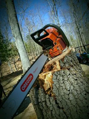 Longview Landscape Logo