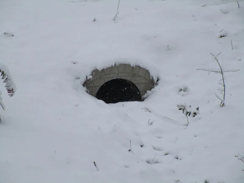 Local landscape design in Indian Trail, NC - Longview Products