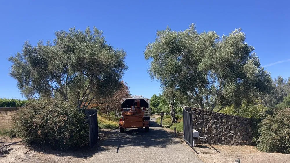 Reliable garden landscaping experts serving Sebastopol, CA - LongView Tree Care