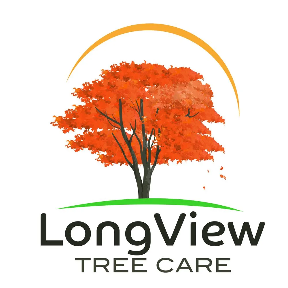 Local lawn care service in Sebastopol, CA by LongView Tree Care