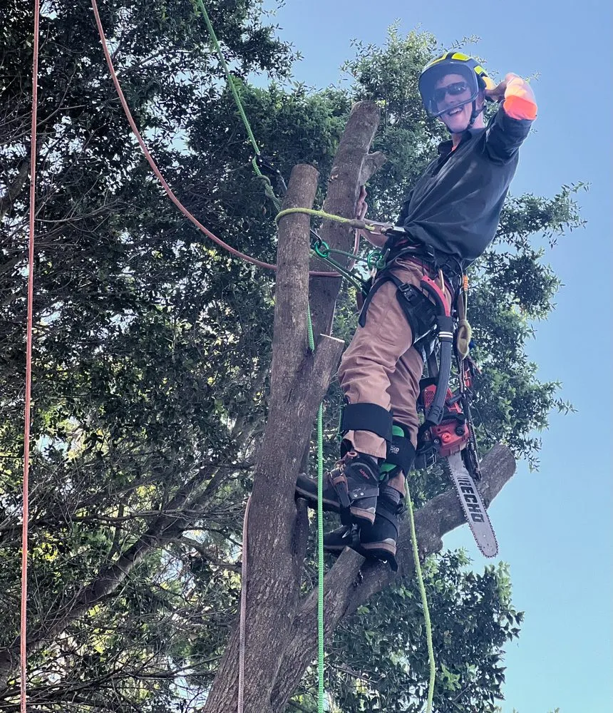 Custom lawn care service near you across Sebastopol, CA - LongView Tree Care