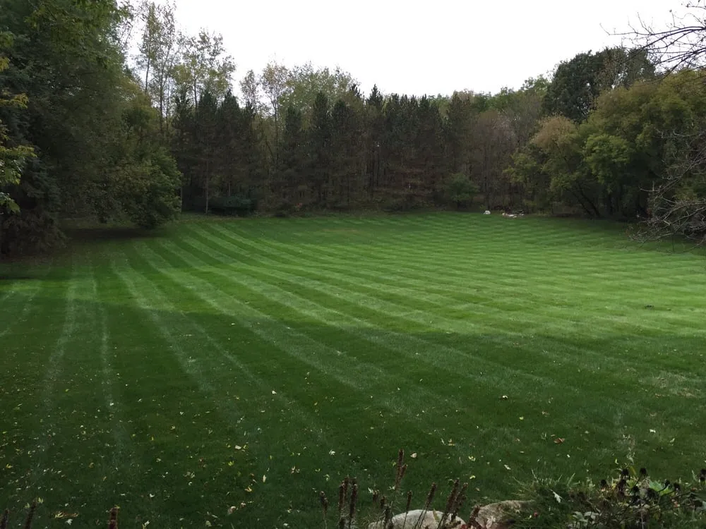 Top-rated yard maintenance in White Bear Lake, MN by Longville Landscapes