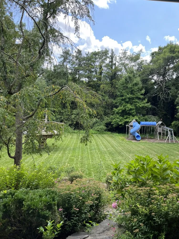 Local lawn mowing service for year-round maintenance across Arlington, VA - Longway Exterior