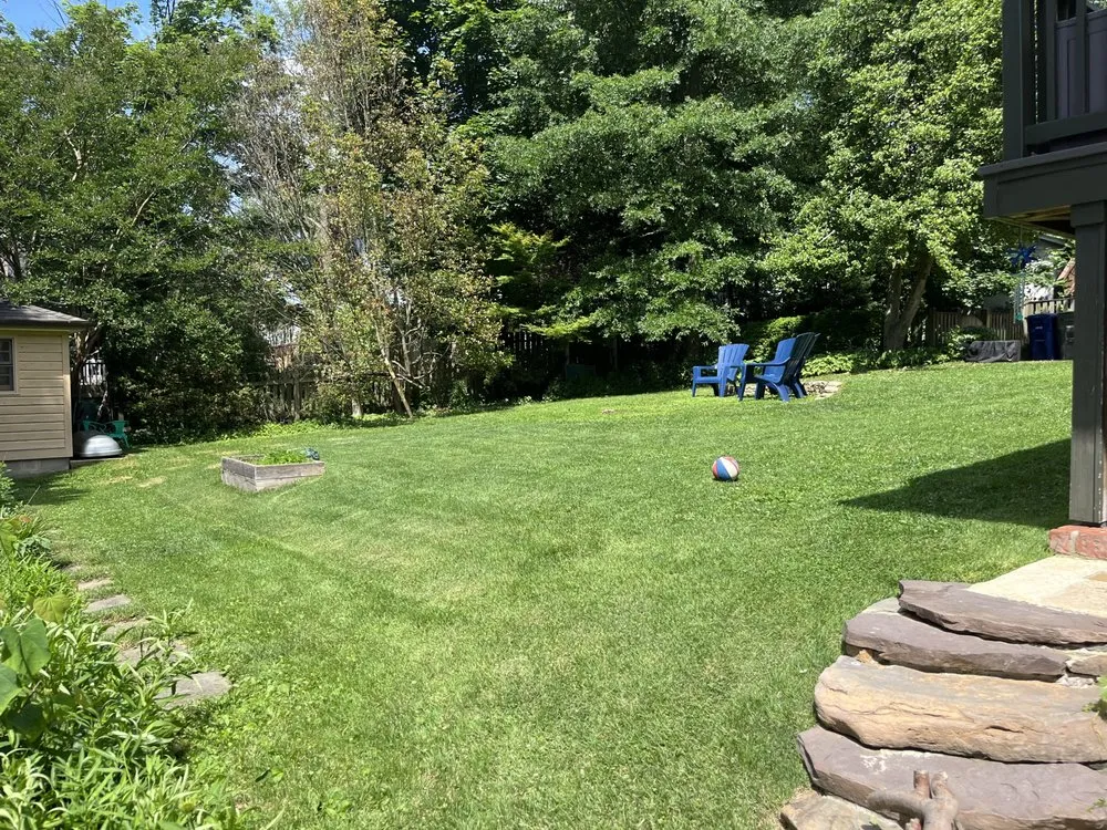 Expert residential landscaping for outdoor upgrades in Arlington, VA by Longway Exterior