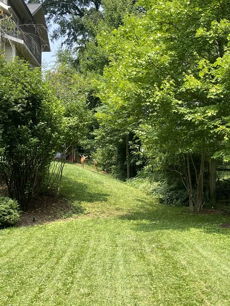 Custom lawn care service experts serving Arlington, VA - Longway Exterior