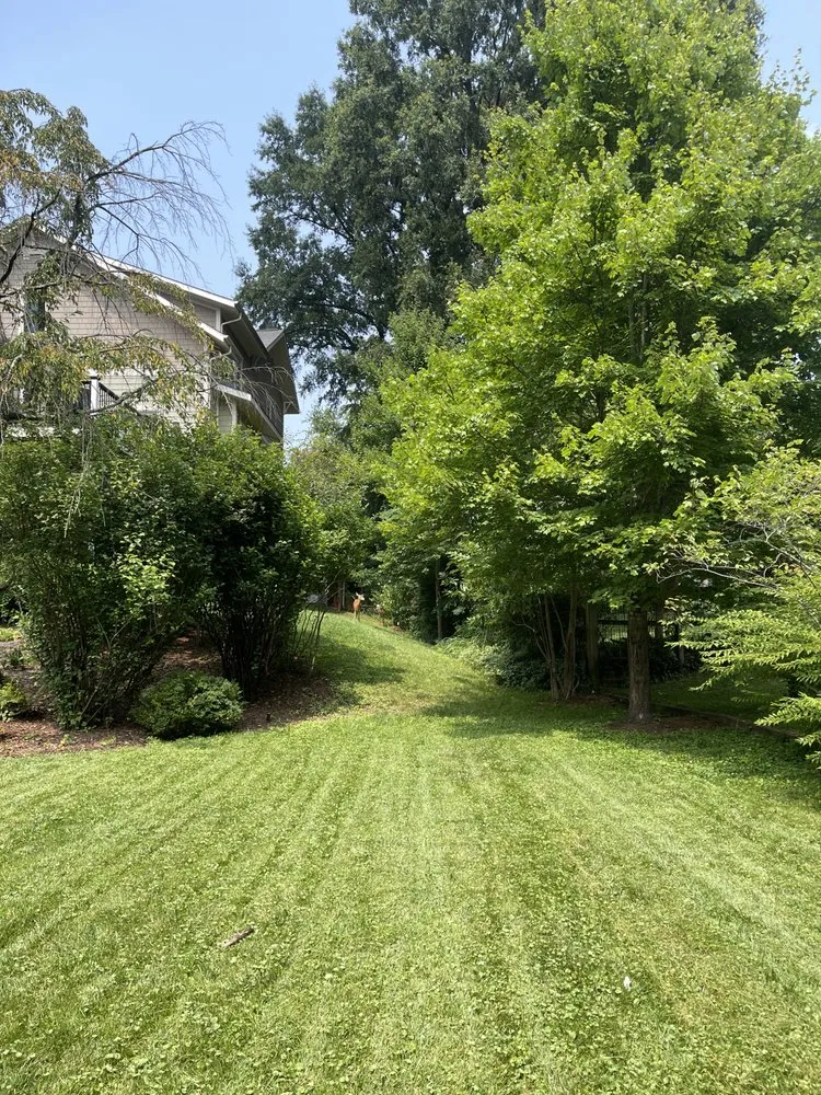 Trusted residential landscaping in Arlington, VA by Longway Exterior