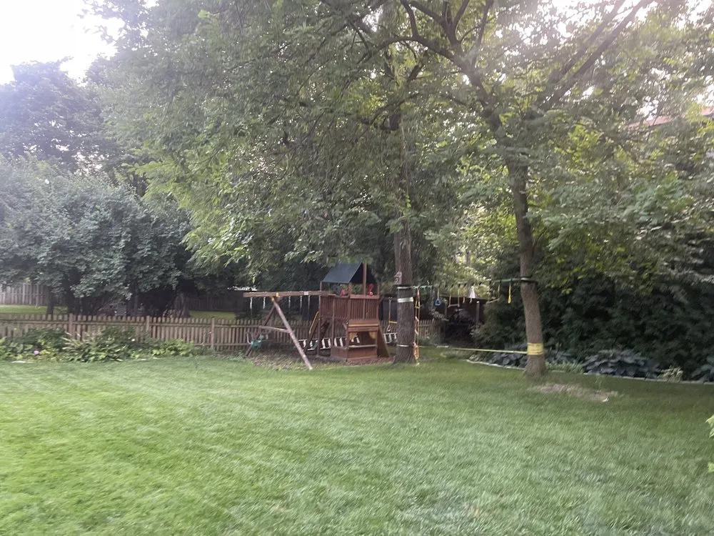 Professional landscape design for residential properties across Arlington, VA - Longway Exterior