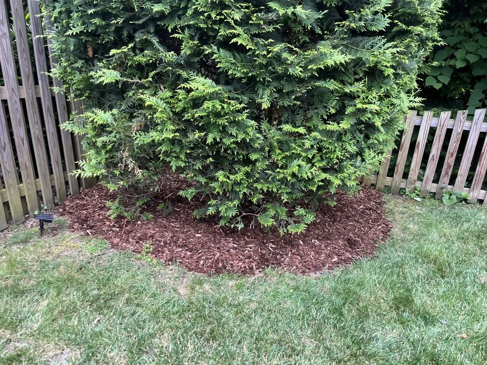 Custom landscaping services in Arlington, VA - Longway Exterior