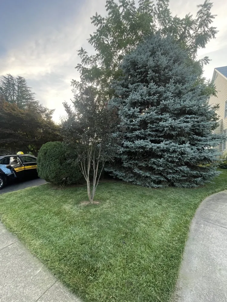 Local landscaping services experts serving Arlington, VA - Longway Exterior