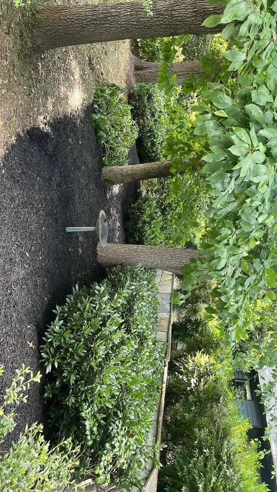 Expert landscape installation in Arlington, VA by Longway Exterior