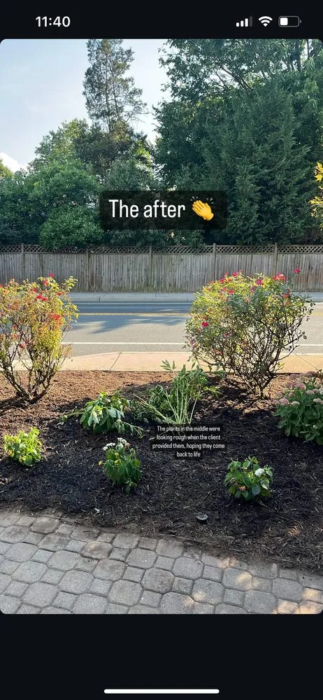 Trusted landscape installation near you across Arlington, VA - Longway Exterior