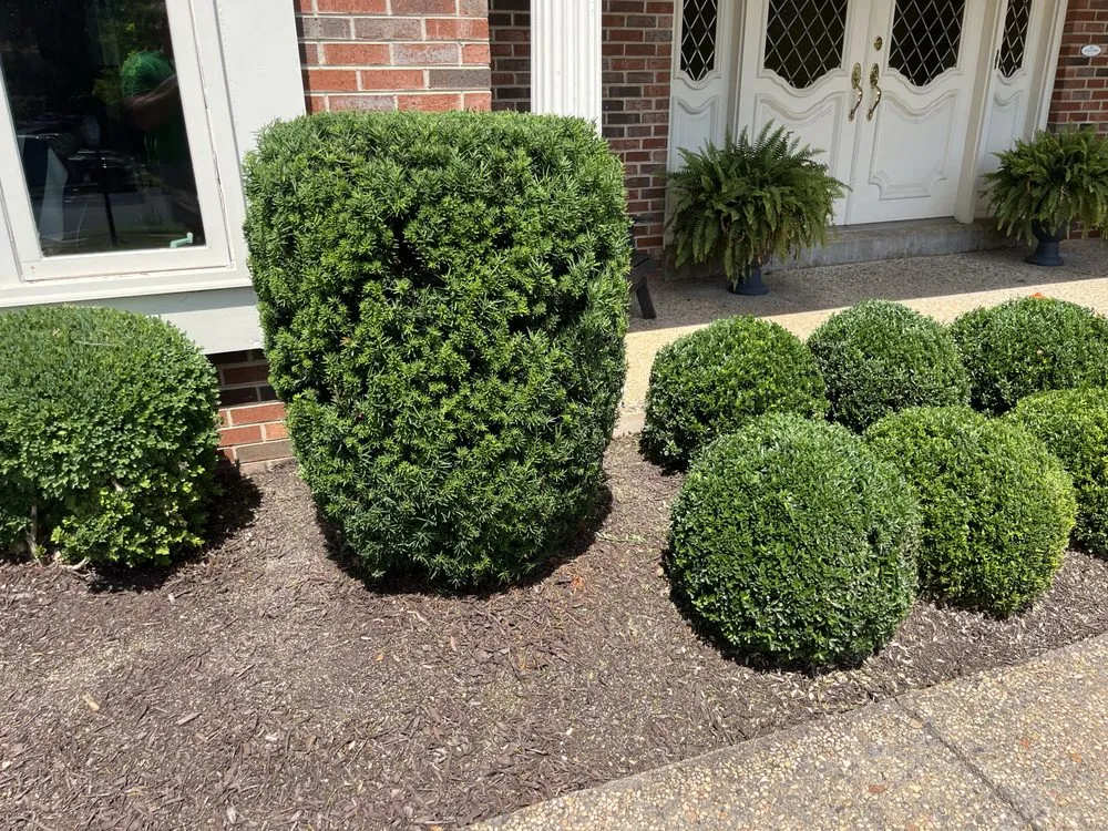 Professional landscape installation in Arlington, VA - Longway Exterior